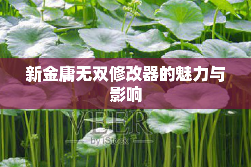 新金庸无双修改器的魅力与影响图片