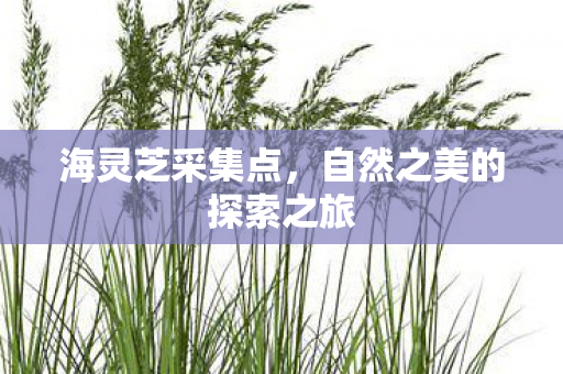 自然之美的探索之旅图片
