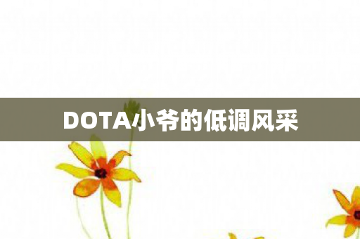 DOTA小爷的低调风采图片