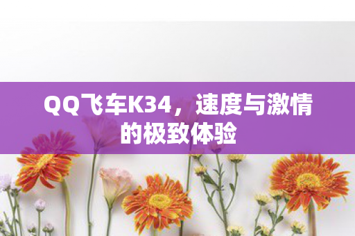 速度与激情的极致体验图片