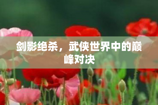剑影绝杀，武侠世界中的巅峰对决