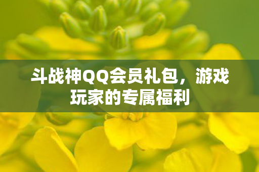斗战神QQ会员礼包,游戏玩家的专属福利 斗战神QQ会员礼包,游戏玩家的专属福利