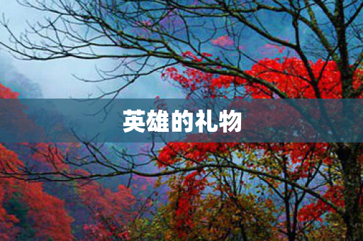 英雄的礼物图片