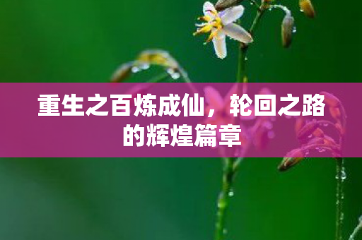 轮回之路的辉煌篇章图片