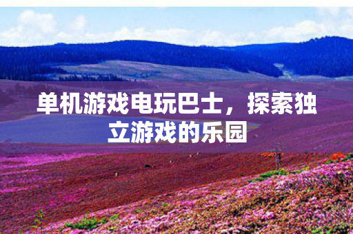 探索独立游戏的乐园图片