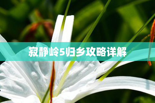 寂静岭5归乡攻略详解图片