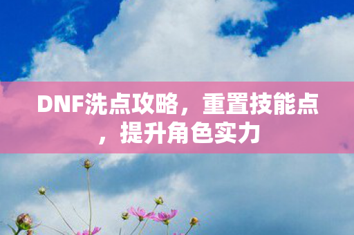 DNF洗点攻略图片