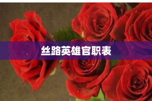 丝路英雄官职表图片