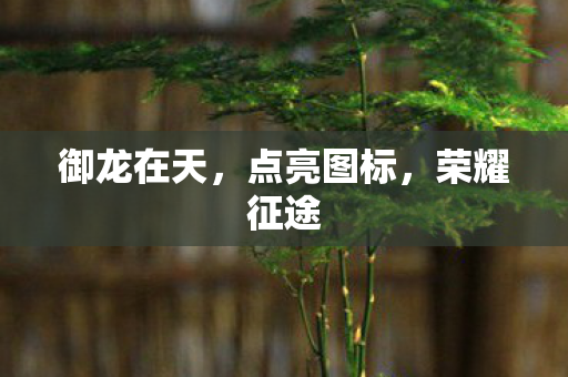 御龙在天图片