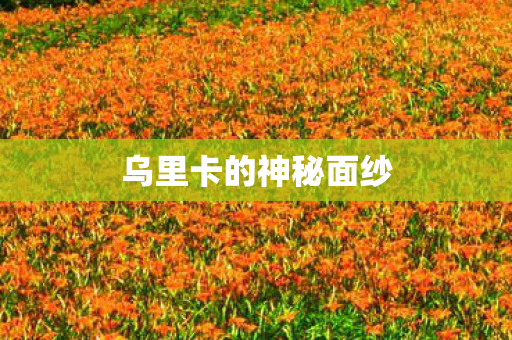 乌里卡的神秘面纱图片