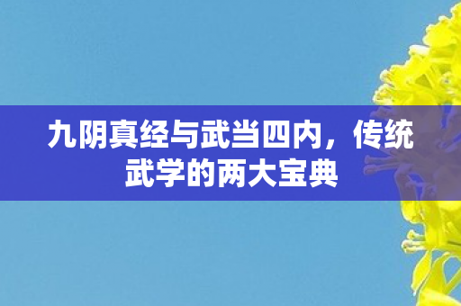 九阴真经与武当四内图片