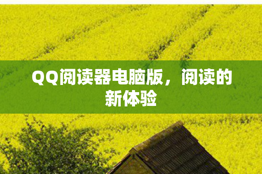 QQ阅读器电脑版图片