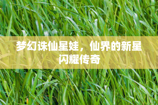 仙界的新星闪耀传奇图片