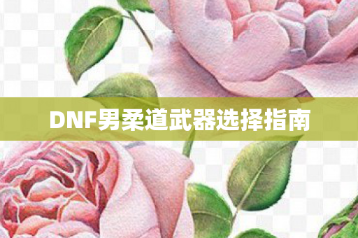 DNF男柔道武器选择指南图片