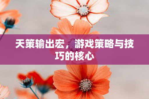 游戏策略与技巧的核心图片