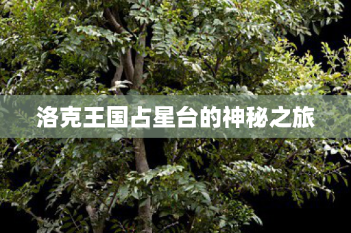 洛克王国占星台的神秘之旅图片