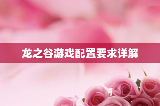 龙之谷游戏配置要求详解图片