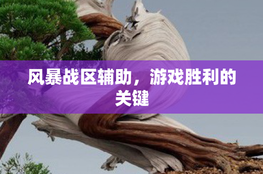 游戏胜利的关键图片
