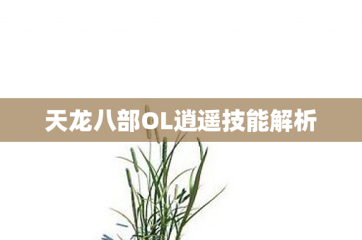 天龙八部OL逍遥技能解析图片