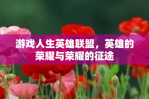 英雄的荣耀与荣耀的征途图片