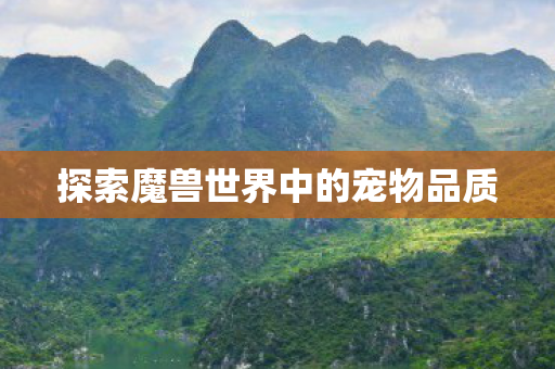 探索魔兽世界中的宠物品质图片