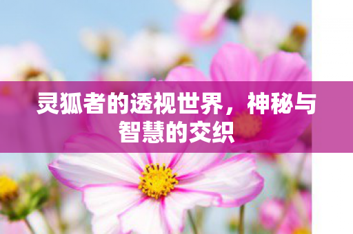 灵狐者的透视世界图片