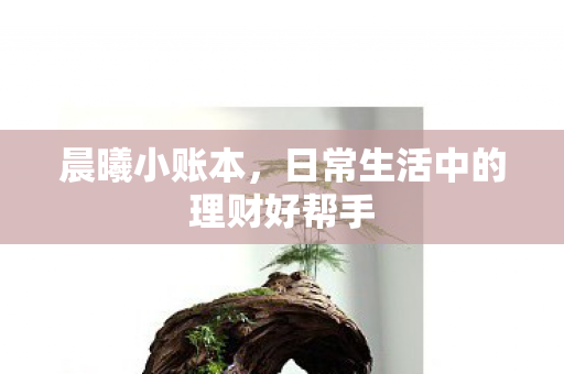 日常生活中的理财好帮手图片