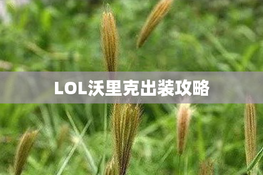 LOL沃里克出装攻略图片