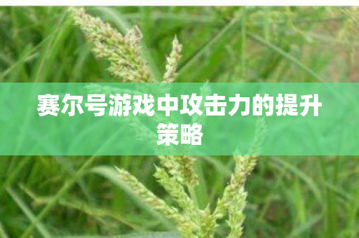 赛尔号游戏中攻击力的提升策略图片