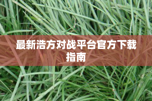 最新浩方对战平台官方下载指南图片