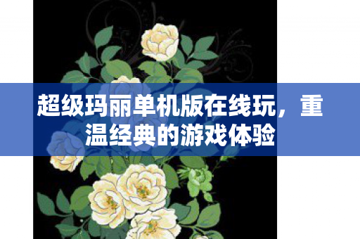 超级玛丽单机版在线玩图片