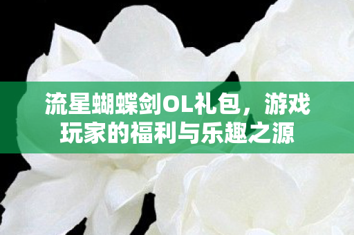游戏玩家的福利与乐趣之源图片