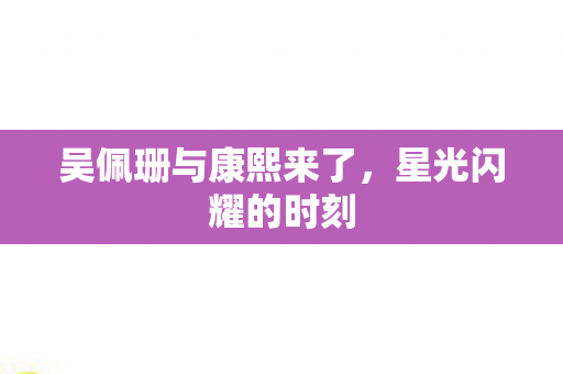 吴佩珊与康熙来了图片