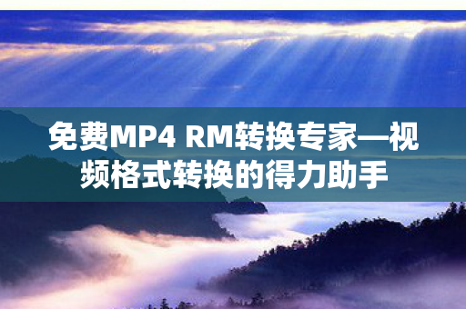 免费MP4 RM转换专家图片