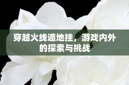 游戏内外的探索与挑战图片