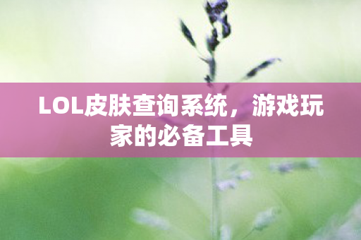 LOL皮肤查询系统图片