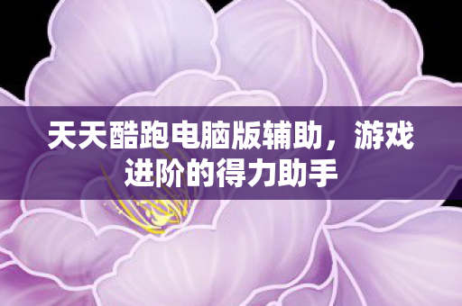 天天酷跑电脑版辅助图片