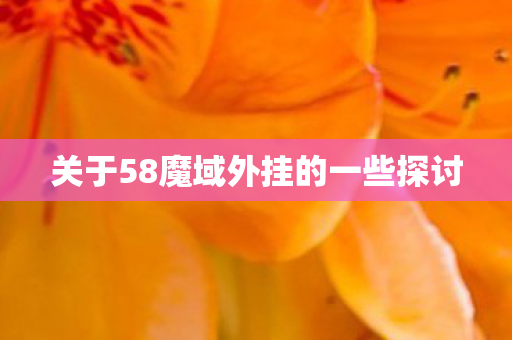 关于58魔域外挂的一些探讨图片