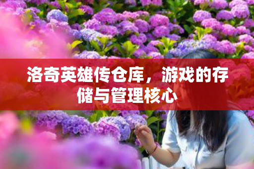 游戏的存储与管理核心图片
