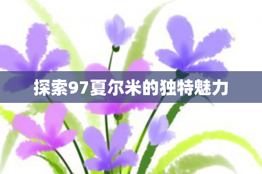 探索97夏尔米的独特魅力图片