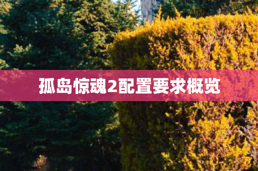 孤岛惊魂2配置要求概览图片
