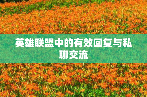 英雄联盟中的有效回复与私聊交流图片