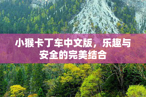 乐趣与安全的完美结合图片