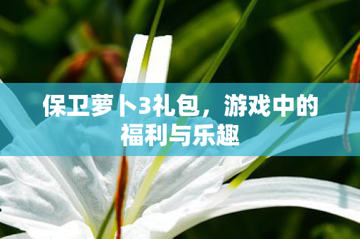游戏中的福利与乐趣图片