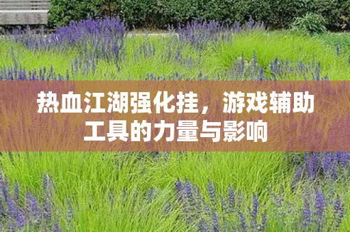 游戏辅助工具的力量与影响图片
