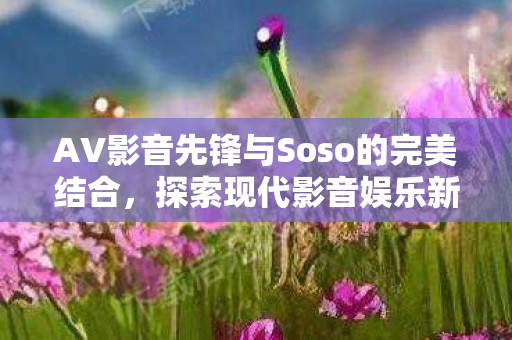 AV影音先锋与Soso的完美结合图片