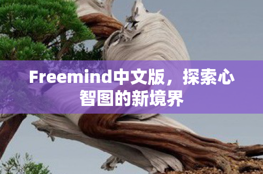 Freemind中文版图片