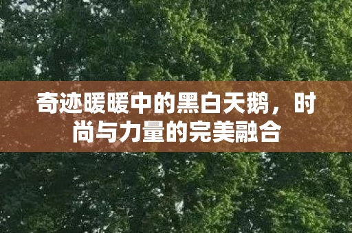 奇迹暖暖中的黑白天鹅图片