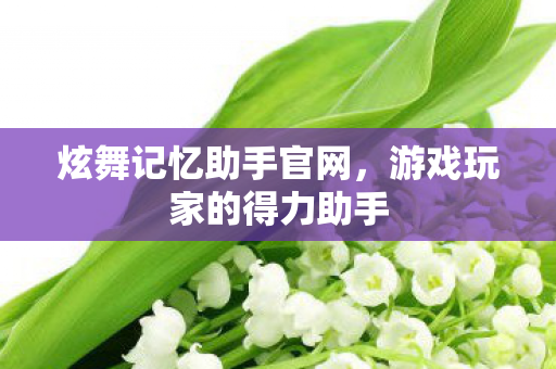 游戏玩家的得力助手图片