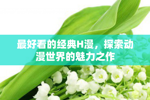 探索动漫世界的魅力之作图片